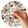46 Pièces/Sac, Autocollants Chat, Pour Valise Skateboard Bagages Ordinateur Portable Téléphone Décoration DIY Papeterie Fournitures Scolaires Jouets
