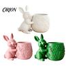 Maceta Verde Pequeña Conejo Abrazando Suculentas Impresa en 3D, Flor de Conejo Linda con Cuerpo Floral Compacto en Relieve, Decoración de Escritorio Mini para