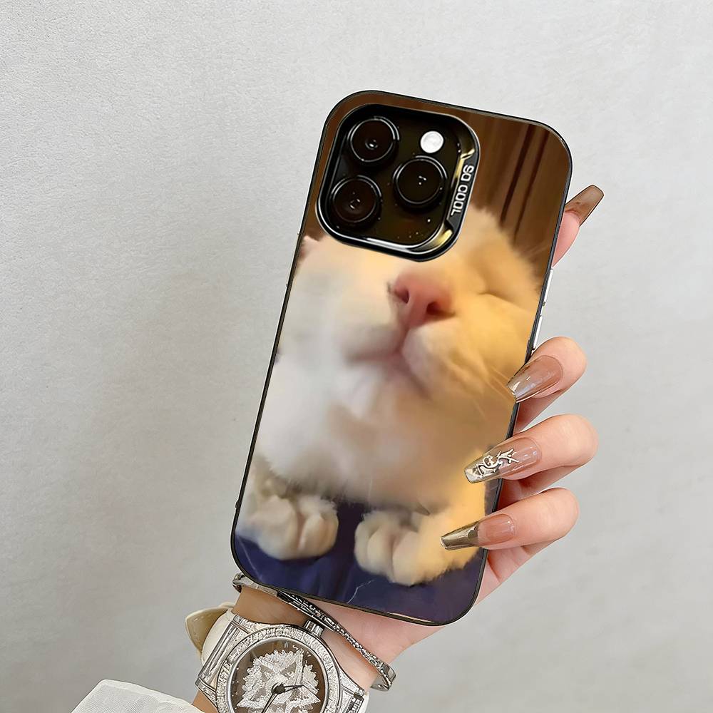 Funny Cat Phone Case  Phone Case For iPhone 17,16,15,14,13,12,11 Plus,Pro Max,XS,Colored Silver Plated Inside Cover