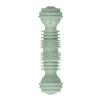 TPR Made Dumbbell Dog Chew Toy Bite Tough Dumbbell Shaped Dog Molar Stick Textured Surface Flexible Texture Interactive Dog Toy