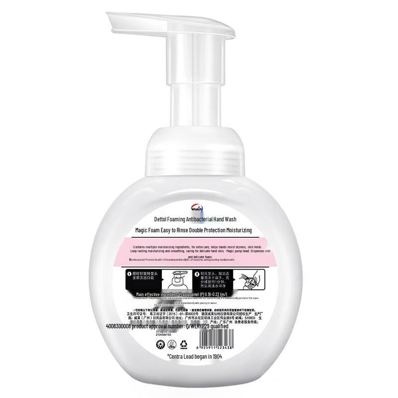 Walch Moisturizing Foam Antibacterial Hand Wash