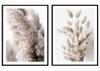 Framed Poster Picture 53x73cm Diptych Set of 2 Pictures Boho Dry Grasses P2081