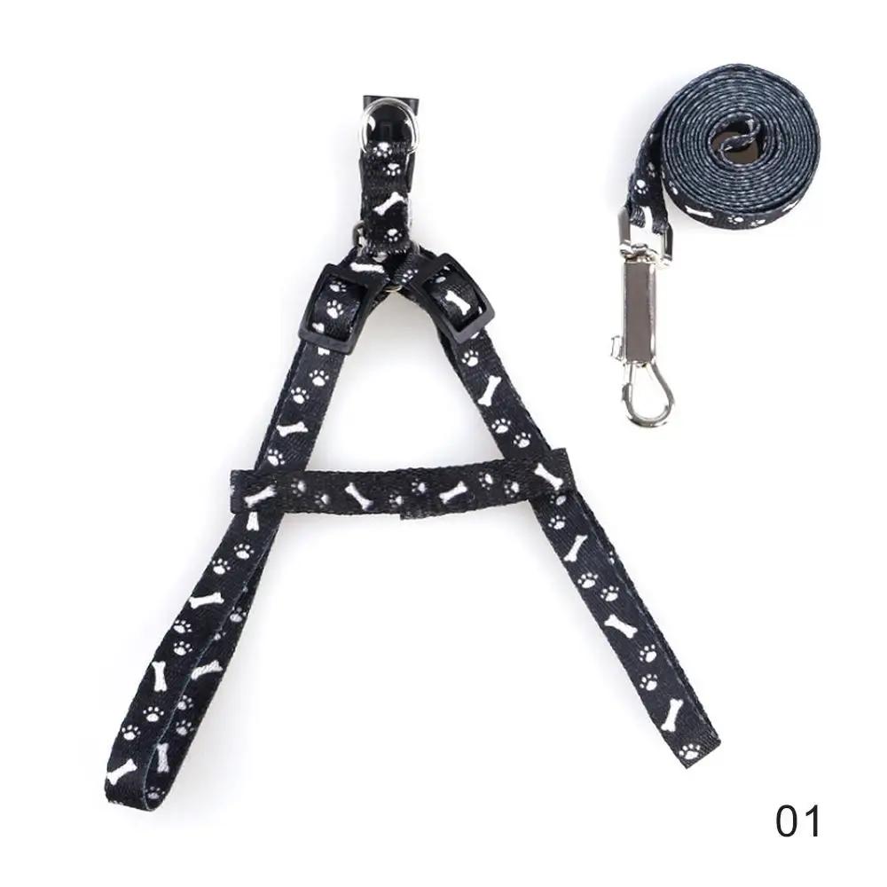 Haustier Hund Katze Geschirr Leine Verstellbares Geschirr Weste Leine Halsband Welpe Kleiner Hund Outdoor Spaziergang Chihuahua Terrier Schnauzer