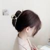 Korean Fashion Hairpin: Elegant Shark Clip for Women