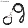 Strapazierfähige geflochtene Nylon Hundeleine und Halsband