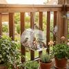 Waterproof Hanging Acrylic Bird Feeder Large Capacity Transparent Bird Feeding Station Strong Suction Cup with Hook
