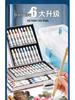 12/24 Color Chinese Ink Painting Set for Beginner and Elementary Art Students