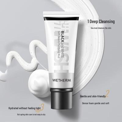 Wen Biquan Purifying Mud Facial Cleanser