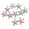 Geometric Starfish Stud Earrings Star Korean Style Earrings Cute Starfish Ear Studs  Women