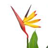 Plante artificielle - vidaXL - Strelitzia Reginae - Oiseau de Paradis - 66 cm - Vert