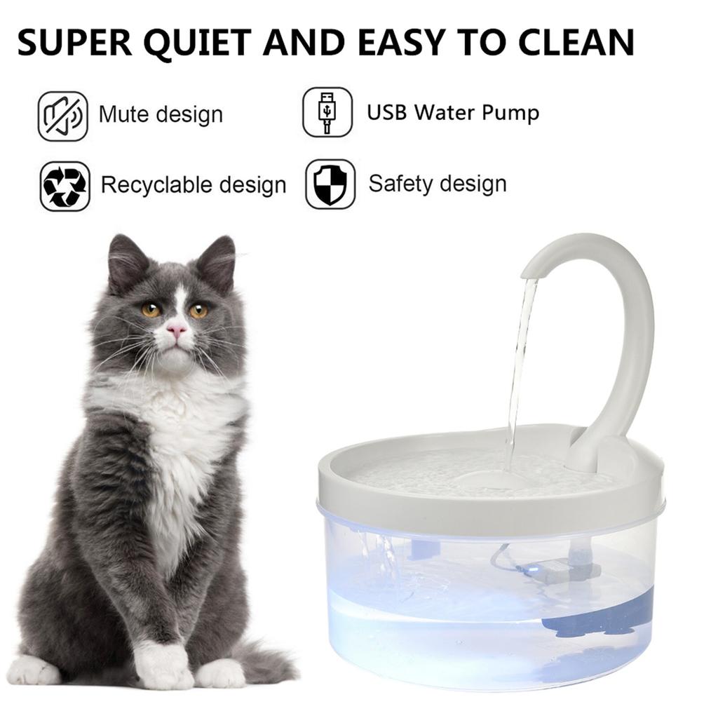 electric automatic cat feeder
