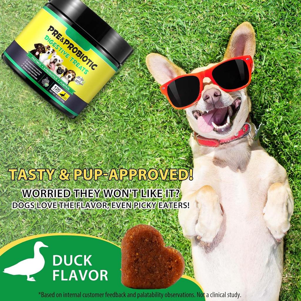 Masticativi Probiotici per Cani – Aiuta a Mantenere la Qualità delle Feci & l'Equilibrio Durante i Cambiamenti di Dieta, con Prebiotici & Enzimi, Gusto Pollo, 120 Masticativi Morbidi