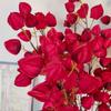 Real Touch Lantern Fruit Branches Long Branches Plastic Fake Flower  Living Room