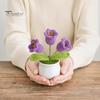 Non-fading Woven Planter Potted Plant, Handmade Wool 3D Texture Crochet Soft Flower Bouquet with Flowerpot, No Maintenance Home Decor Lightweight