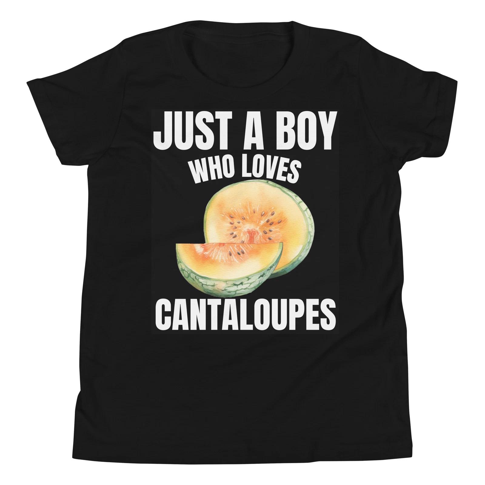 

Just a Boy who Loves Cantaloupes Cantaloupe Fruit Lover Youth T-Shirt 100