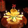 STOLIVING Birthday Lotus Melody Candle with Number Toppers 19-Piece Party Set