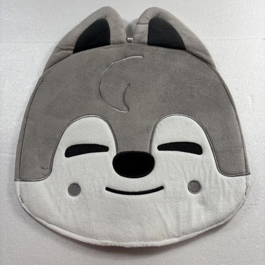[USED] Stray Kids Wolf Chan Bang Chan Fan Case Fan Cover