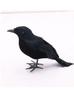 Halloween Flocked Black Feather Crow Prop, Lifelike Simulation Raven Ornament, Spooky Ghost Day Horror Decoration
