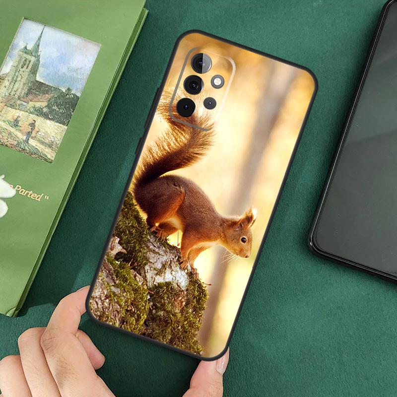 

Squirrel Phone Case For Samsung Galaxy A54 A34 A14 A05 A06 A55 A35 A15 A53 A33 A13 A22 A32 A52 A16 Samsung A54 5G