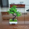 "Small Artificial Flower Bonsai Office & Home Decor Set"