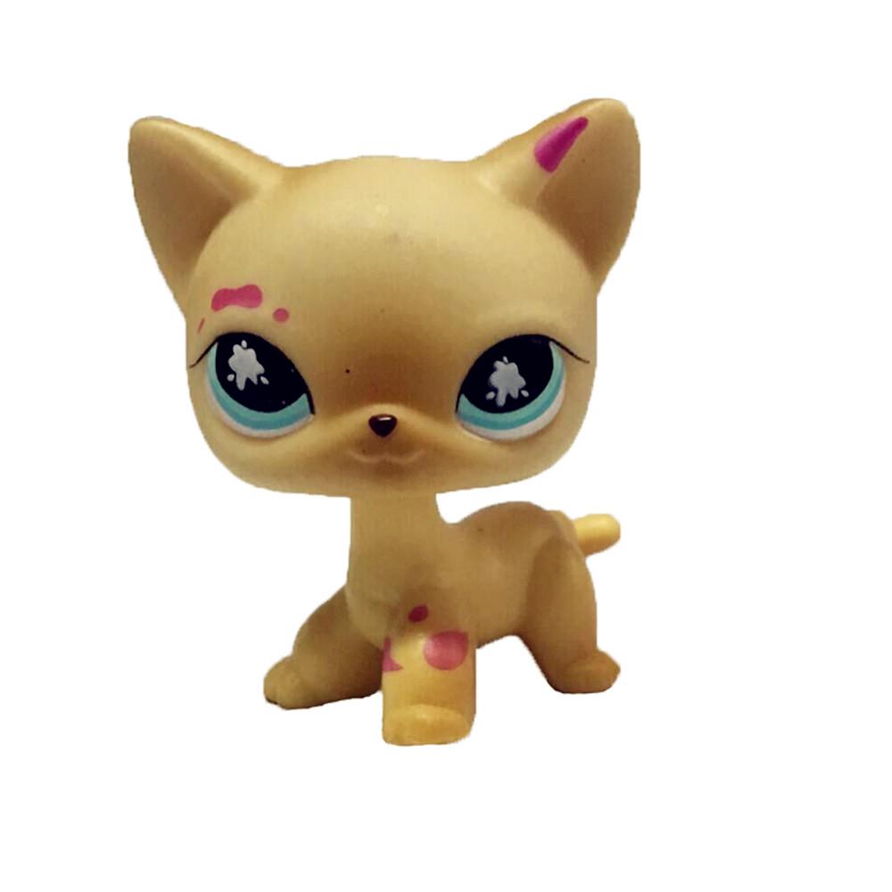 lps heart face cat