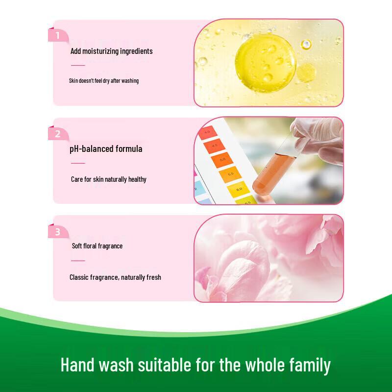 Dettol Hand Wash Duo Pack (Moisturizing & Pine)