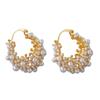 Ear Decorations Delicate Pearls Earrings Elegant Ear Buckles Stylish Ear Accessories Perfect Gift for Women Girls