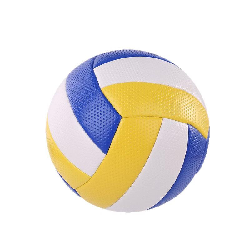 LISM Machine-Stitched PVC Volleyball (2-Pack)