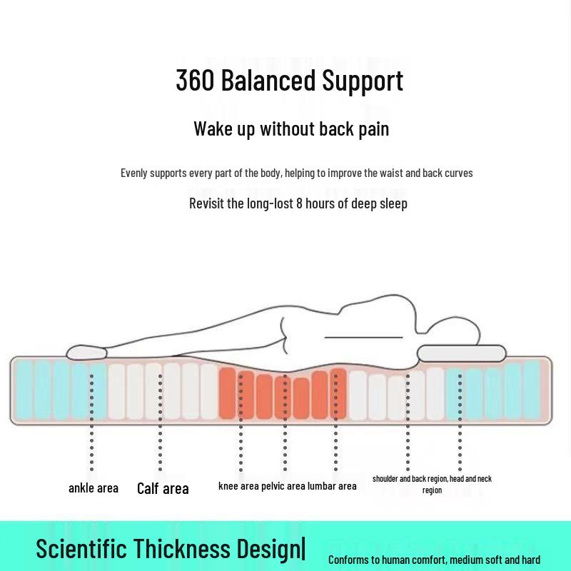 Four Seasons Soft Sponge Mattress Pad - Thickened for Dormitory or Home Use, Single or Double Tatami Style