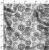 Soimoi Floral Print, Silk Fabric, Decor Sewing Fabric by The Yard 42 Inch Wide,  Decorative Fabric for Shirts Suits Ties,