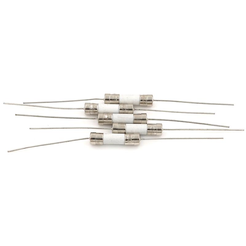 5 Pcs 10A 250V Ceramic Body Axial Lead Fuse For Lcd-Tv Etc 5*20Mm