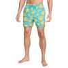 Nike Swim Breaker Comfortable Fashion Versatile Mid Waist Beach Shorts Men Shorts Green HV7062-345