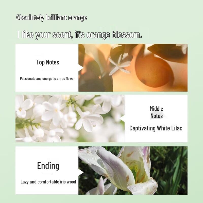 Pote Aloe Hydrating Shower Gel