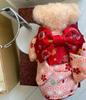 [USED] Merry thought Teddy Bear Pink Champagne
