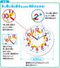 KUMON PUBLISHING Study Clock White Educational Toy for ages 3 and up KUMON DC-53