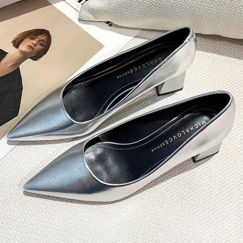 Women's Thick Heel Shoes Spring New Pointy Toe Shallow Mouth Slip-off Anti-slip Wear-resistant High Heels