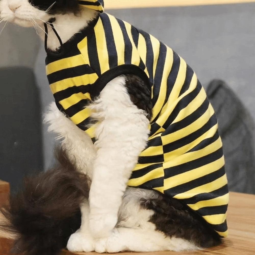 Breathable Bee Themed Cat Outfit Set Lightweight Cat Anti Shedding Vest Pet Bee Costume Daily Wear