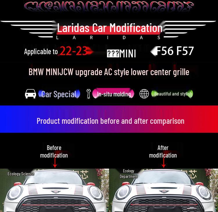 MINI JCW F55/F56/F57 Honeycomb Lower Center Grille Protection Net