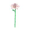 Moc Building Blocks Flower Model Assembly Kit: Diy Educational Building Bouquet Ornament For Girls - Valentine'S Day Gift