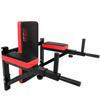 Ns-320 Wandmontierte Dip-Stange