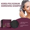 Polygonum Multiflorum Shampoo For Nourishing Hair   Black Ha Ir Color Hair Care And Hair Cleaning