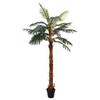 Artificial Cocus Palm Tree Green 70 x 20 x 200 cm