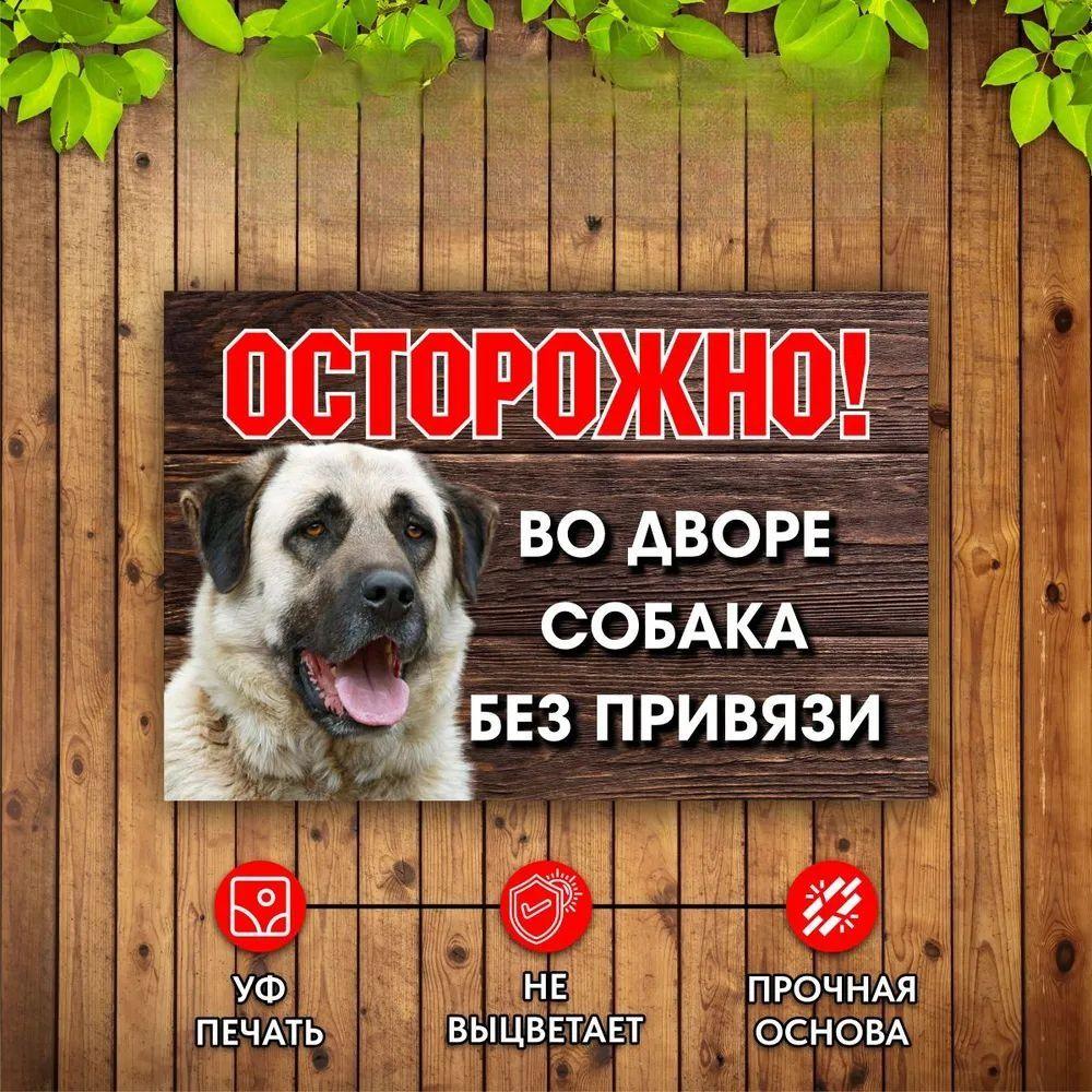Warnung Hund im Garten Keine Leine