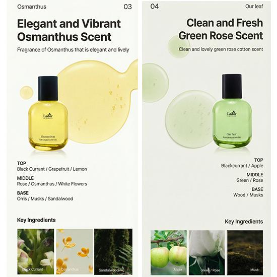 BTS Jimin Pick! Lador Perfumed Hair Oil (4 Scents) (8 Options)