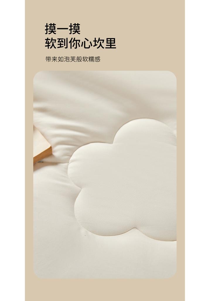A-class Unstained Soybean Moisturizing and Warm Spring and Autumn Seasonal Quilt