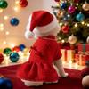 Dog Chinese New Year clothes red Xiaoxiangfeng festive wedding dress small dog pet thickened autumn and winter dress