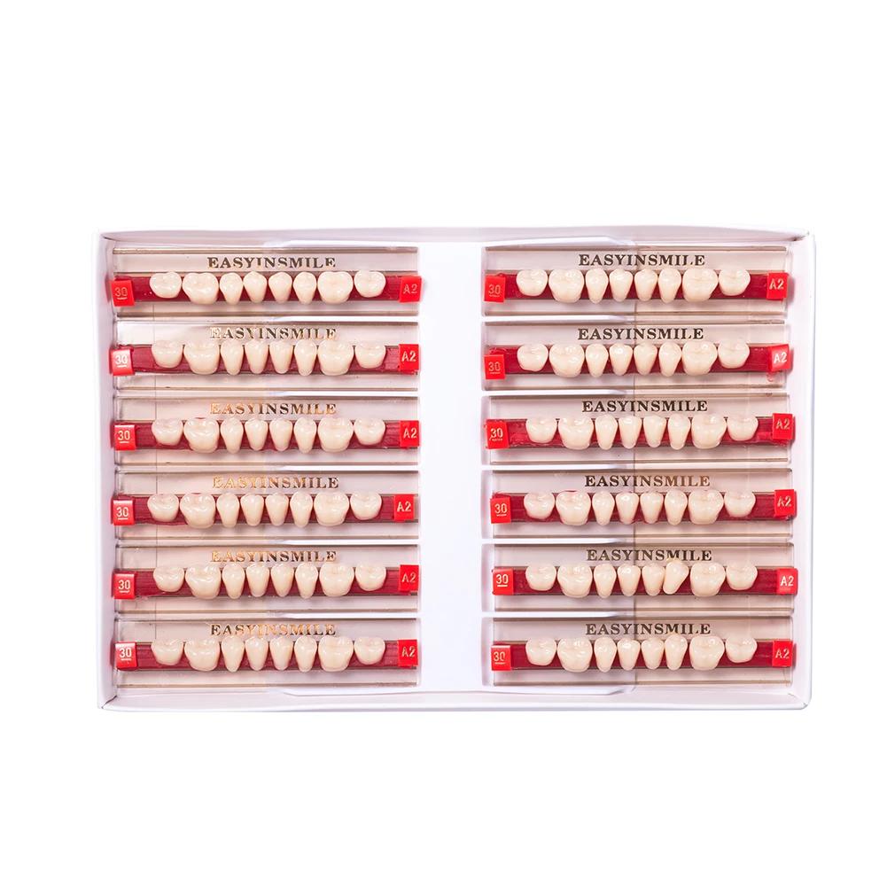 16/12 Sätze/Karton Zahnprothese Zähne Oberkiefer Frontzähne Unterkiefer Seitenzähne Dentier Synthetisches Polymerzähne Zahnmedizinische Ausbildungsmodell