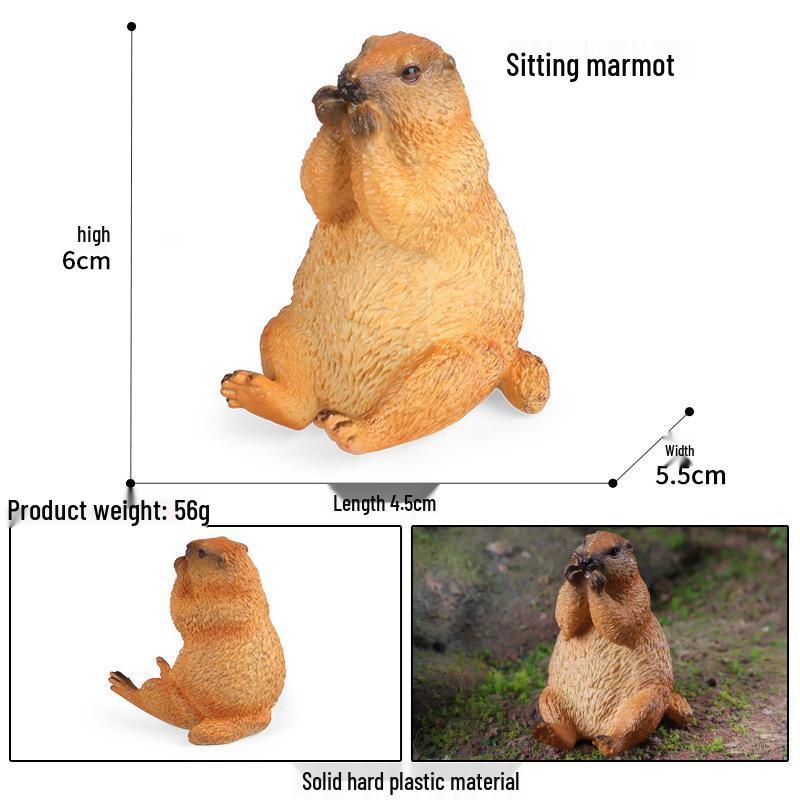 Children s Cognitive Marmot Toy: Early Education and Wildlife Simulation Ornament