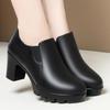 Women's Chunky Heel Platform Loafers - 2024 Spring/Autumn, Round Toe, Leather, Slip-On, Waterproof.