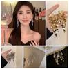 Silver Metal Sequin Earrings Bling Bling Gold Earrings Simple Long Tassel Dangle Earrings  Gift